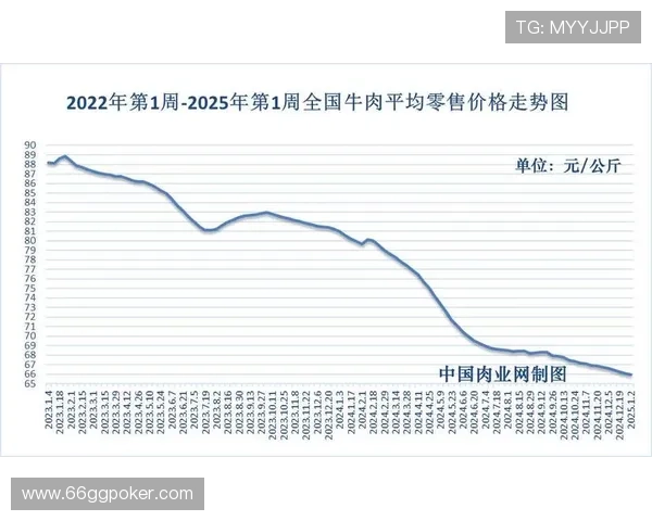 2025年白菜零售价格走势分析与市场影响